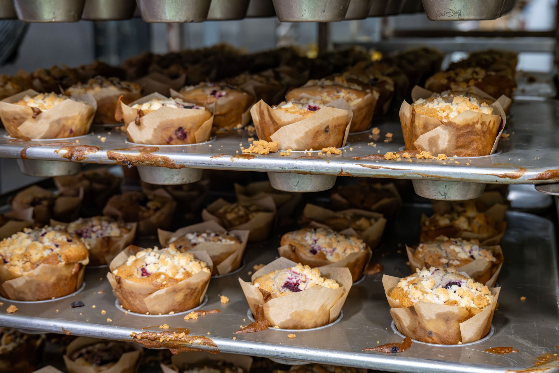 Muffins
